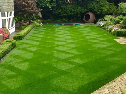 Year-Round Lawn Care: Seasonal Strategies for a Healthy, Resilient Turf