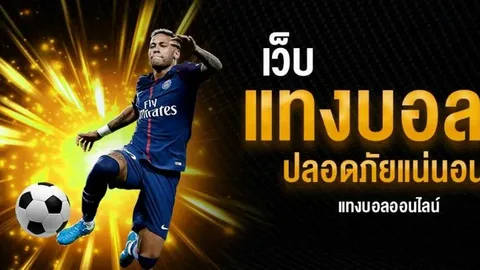 แทงบอล for Beginners: Start Betting the Right Way